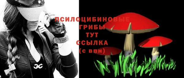 mdma Богданович