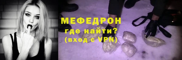индика Белокуриха