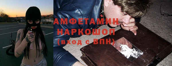 тгк Бородино