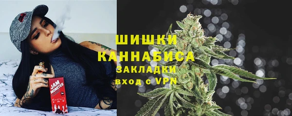 таблы Богородицк