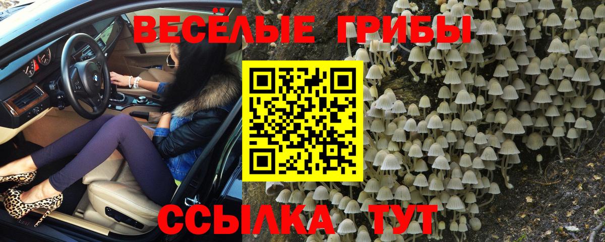 Галлюциногенные грибы GOLDEN TEACHER Дальнегорск