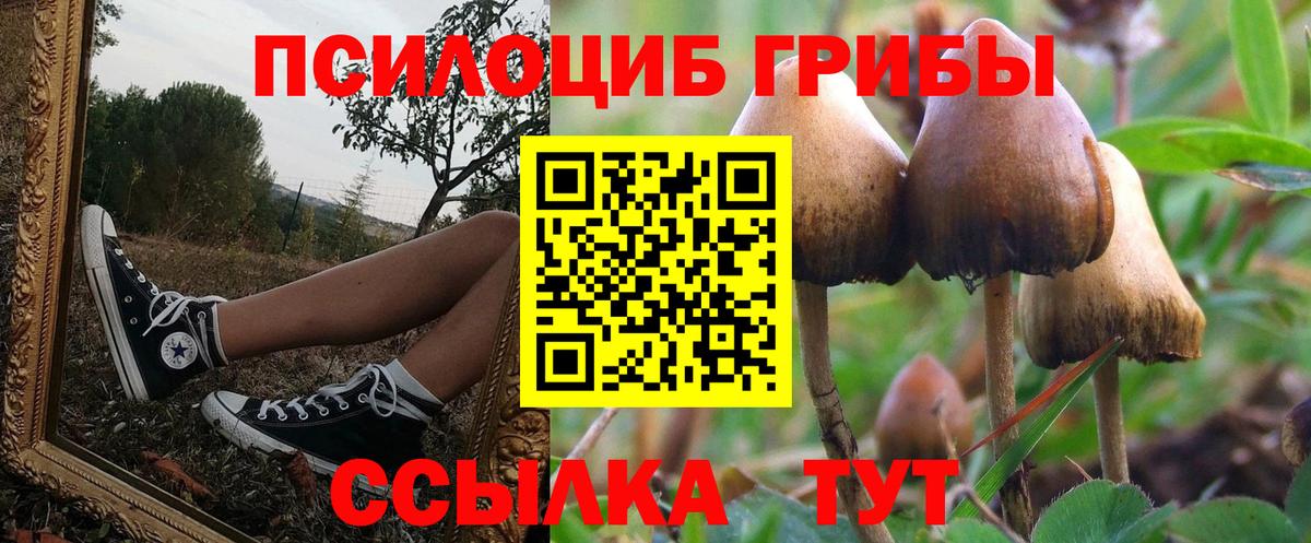 Дальнегорск  Псилоцибиновые грибы ЛСД  Вход с VPN 